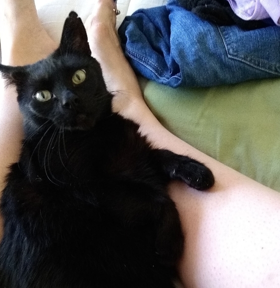 Meet your Posher, Sarah - Picture 2 of 7